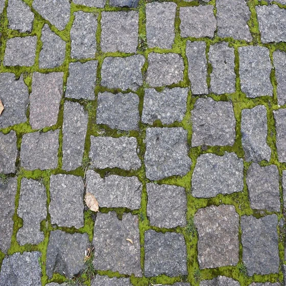 grass-pebbles-paving-2.webp
