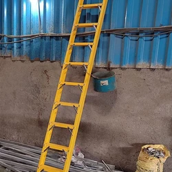 FRP Wall Ladders