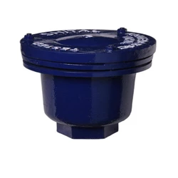 Acting Air Release Valve