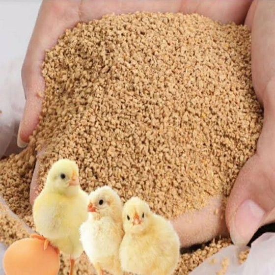 chick-poultry-feed-1.webp