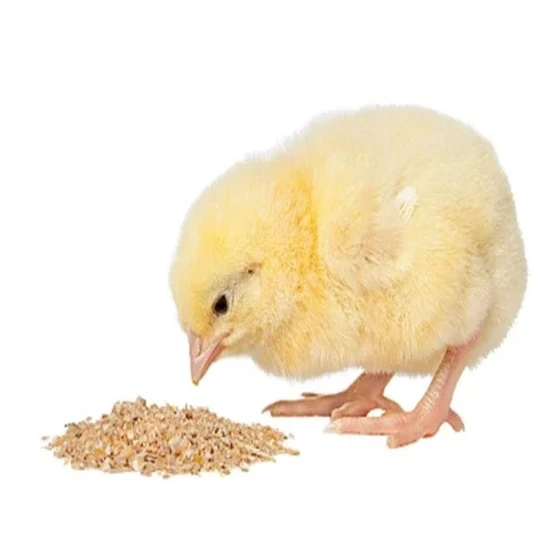chick-poultry-feed-2.webp