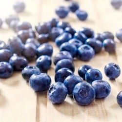 Light Dried Blue Berry
