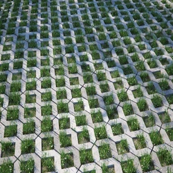 Grass Concrete Paver