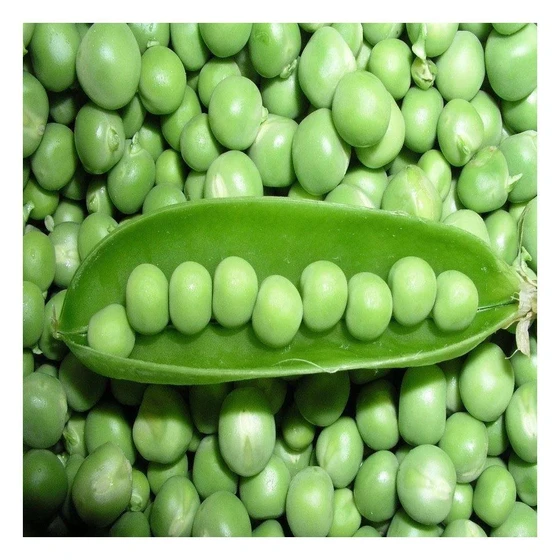 organic-green-peas-2.webp
