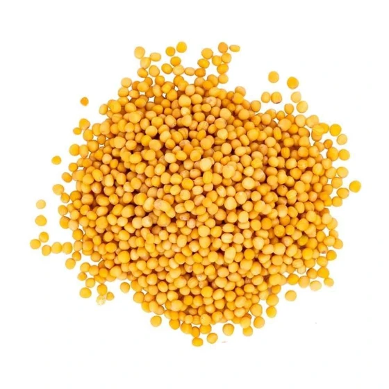 yellow-mustard-seed-1.webp
