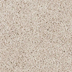Cut Pile Carpet