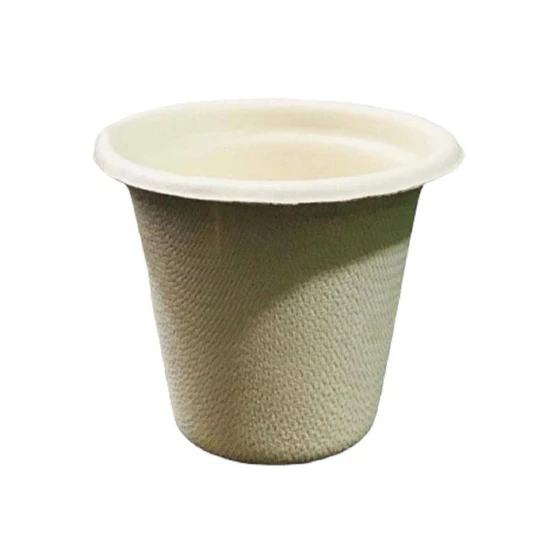 tea-cup-eco-friendly-1.webp