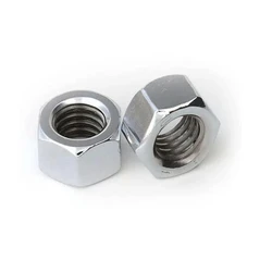Stainless Steel Nuts