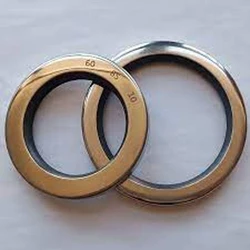 Ptfe Double Seals