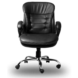 Revolving Visitor Chair