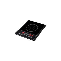 Induction Electric Cooker