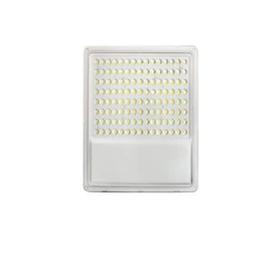 Flood Lens Light