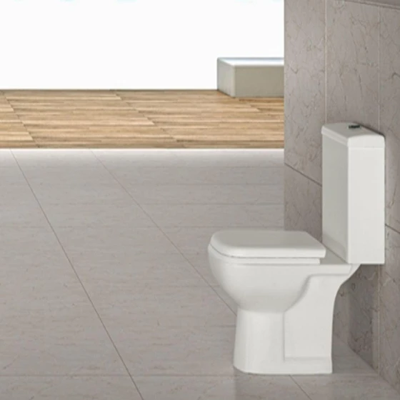 ewc-two-piece-toilet-2.webp