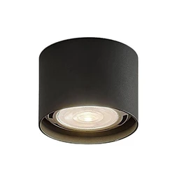 Indoor Ceiling Lights