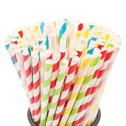 Biodegradable Paper Straw