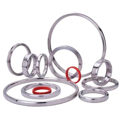 Ring Gasket 