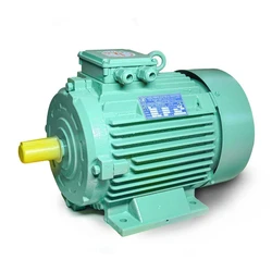 Electric Induction Motor