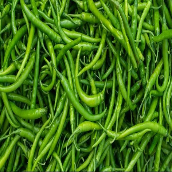 spicy-fresh-green-chilli-2.webp