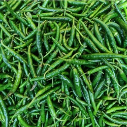Spicy Fresh Green Chilli