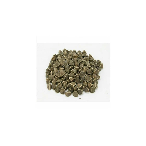 moringa-seeds-2.webp