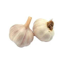 Organic Natural Garlic