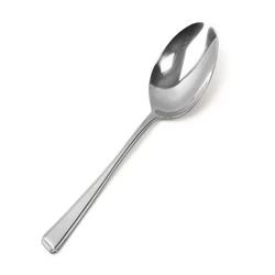 Stainless Steel Spoon