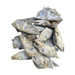 Dry Fish Head