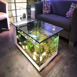Designer Fish Tank