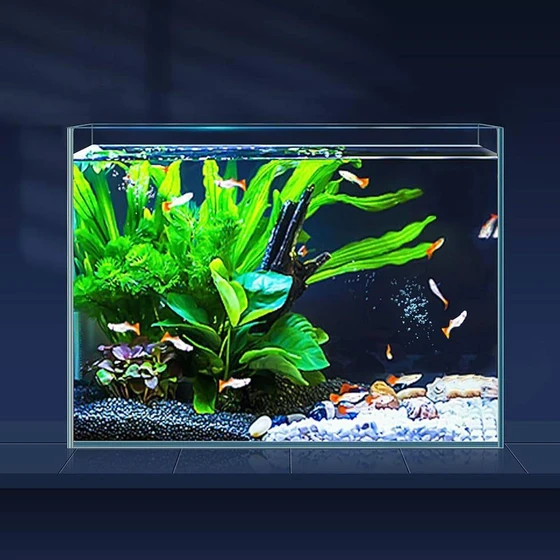 glass-mini-aquarium-1.webp