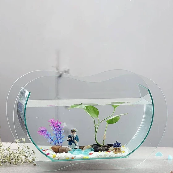 glass-mini-aquarium-2.webp