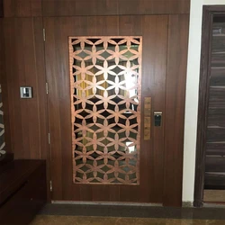 Modern Main Jali Door