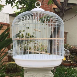 Round Bird Cages