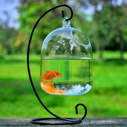 Glass Fish Aquarium