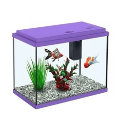 Rectangular Fish Aquarium