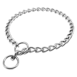 Silver Dog Chain