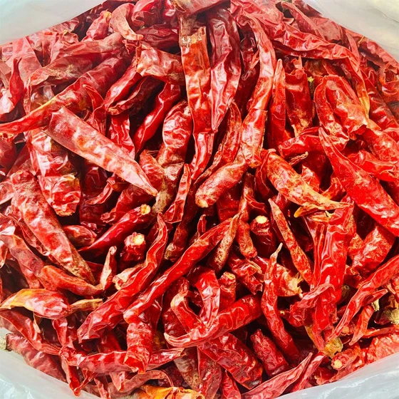 natural-dry-chilies-2.webp