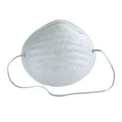 Safety Dust Mask