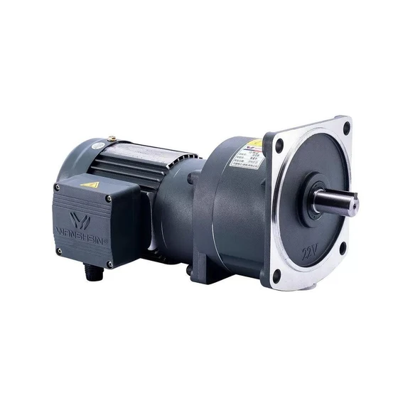 medium-gear-motor-2.webp