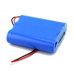 Lithium Ion Battery