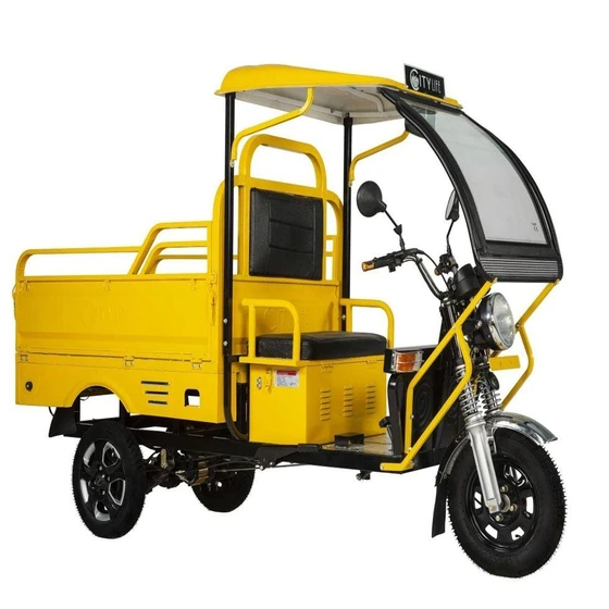 e-rickshaw-loader-2.webp