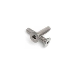 Steel Csk Screw