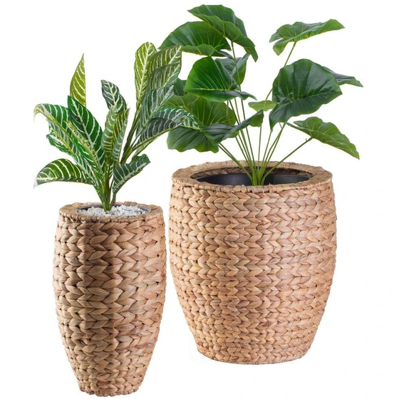 round-exclusive-planters-2.webp