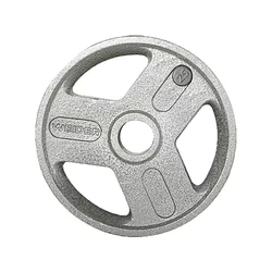 Metal Olympic Plates