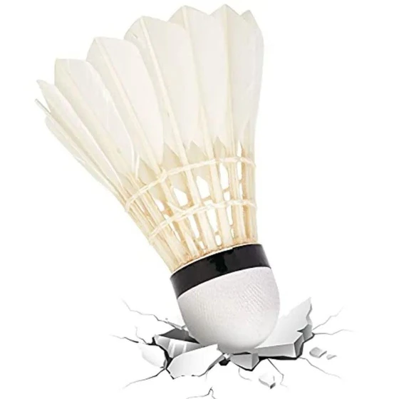 feather-white-shuttlecock-2.webp
