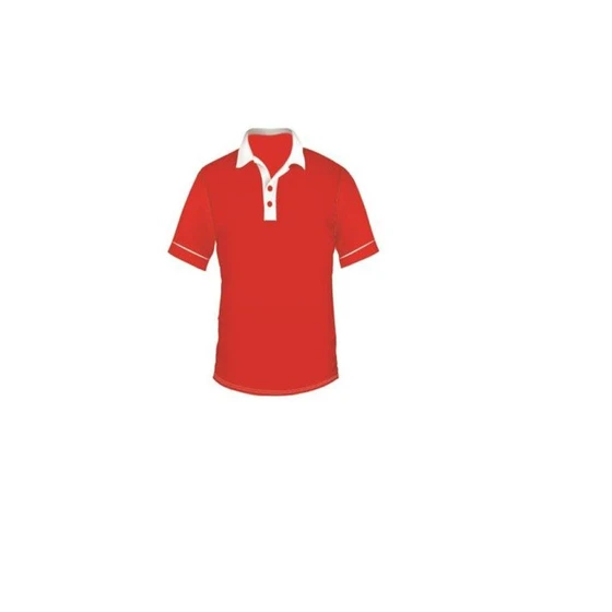 school-collar-t-shirt-2.webp