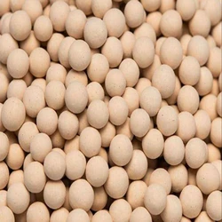 Molecular Sieve