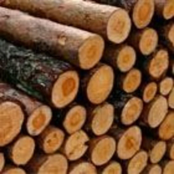 wooden-logs-3-2.webp
