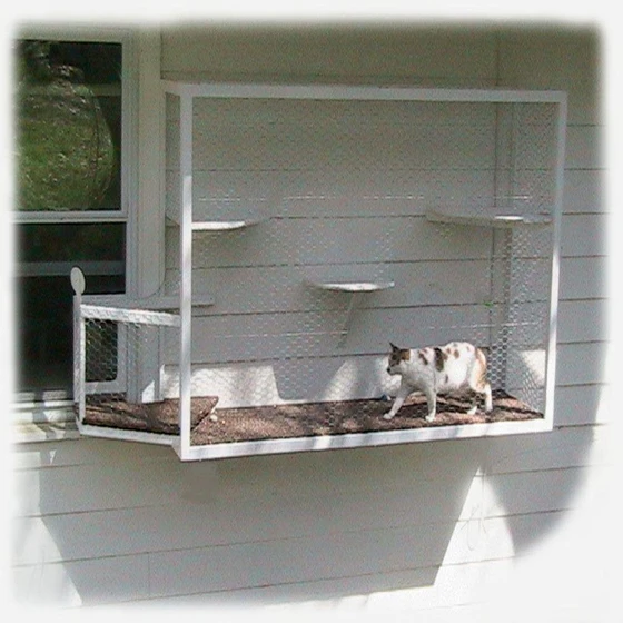 hanging-window-pet-cage-1.webp