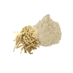 Safed Musli Extract