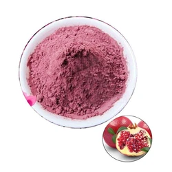 Pomegranate Extract Powder